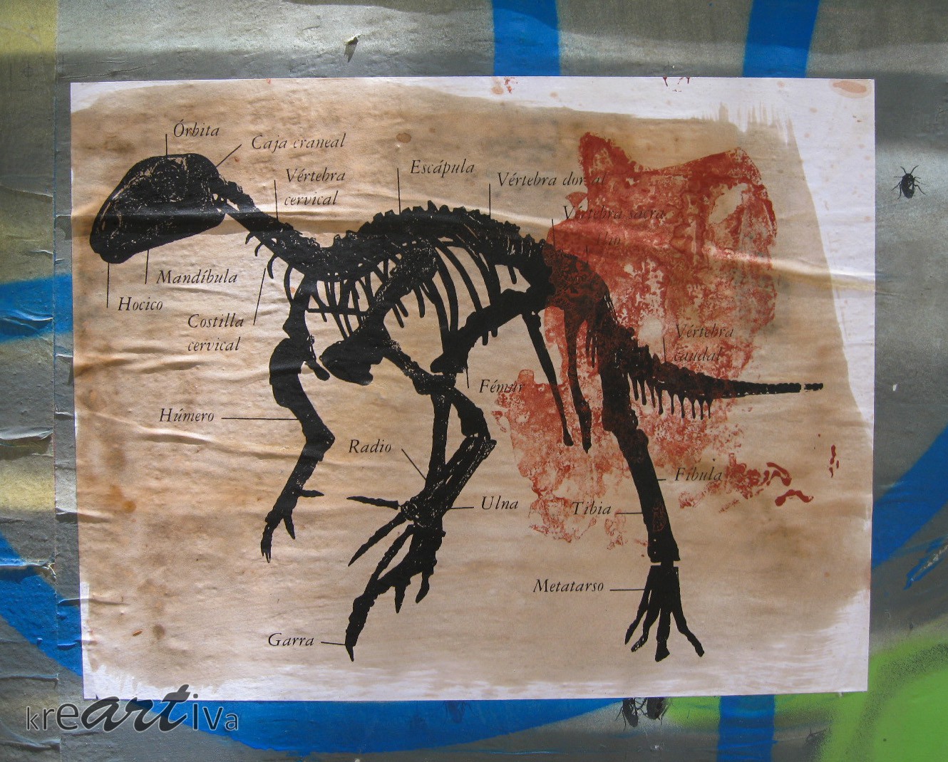 Anatomía Dinosauria, Santiago Chile 2009.